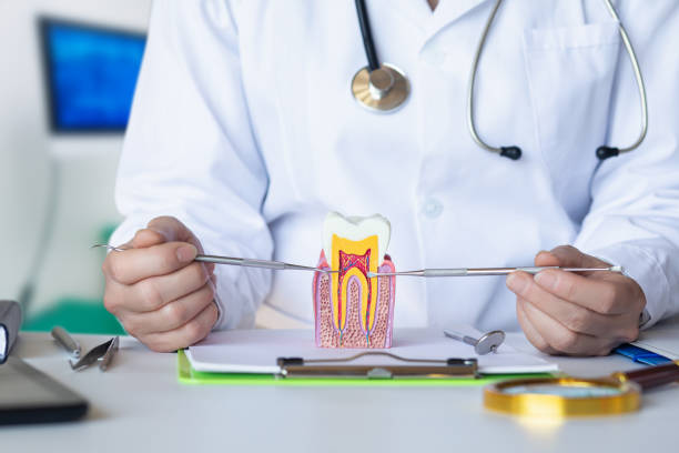 Best Emergency Care for Gum Disease in Dumas, AR